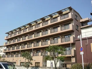 ビオス白鷺の画像