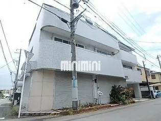 ホシヤマビルの画像