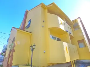セレッソUの画像