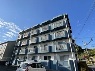 ライブ小島の画像