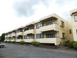 タイガグリーンヒルの画像