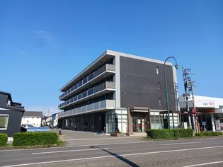 プラシードの画像