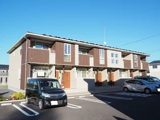 アイリスBの画像