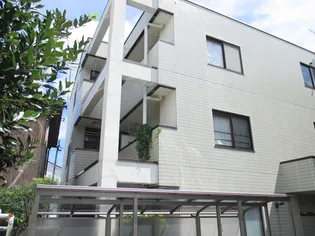 アサノウィローの画像