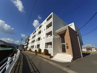 カトレアの画像