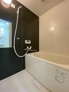 ピューラ城ヶ崎B棟【1階】の風呂