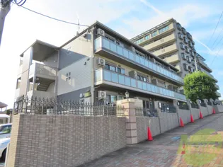 レトアオークの画像