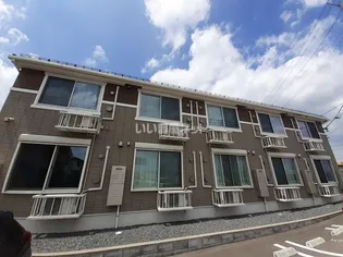 ベルテンポの画像