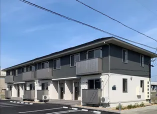 サルースの画像