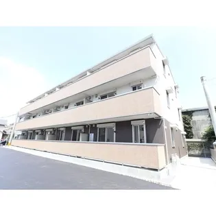 アガパンサスの画像