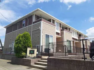 エバー グリーンの画像