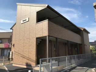 セレッソの画像