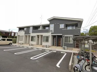 モーニングサン V IIの画像