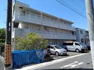 レオネクストライフワン長筬の画像