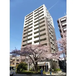 グローベル ザ スイート中村橋駅前の画像