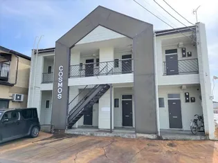 コスモスの画像