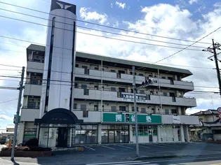 栃木県河内郡上三川町しらさぎ1【マンション】の外観