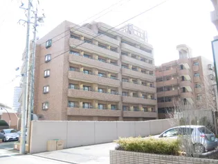 朝日プラザ柏木II【6階】の外観