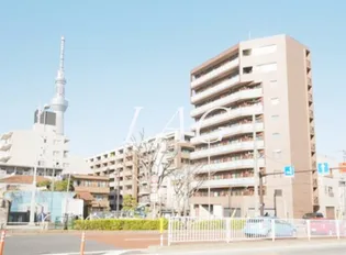 ファルファーラの画像