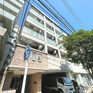 マルジュマチトリの画像