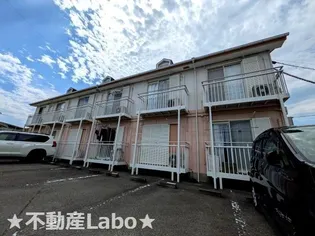 徳島県板野郡藍住町奥野字和田【アパート】の外観