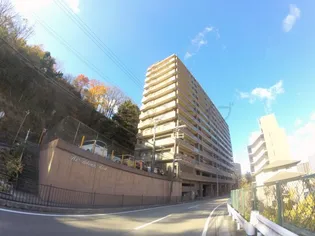 アズ アドバン リーヴァの画像