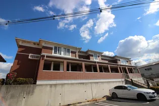 プリムローズT K Aの画像