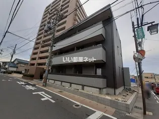 YOUR MAISON CAMELLIAの画像