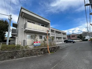 フィエスタグリシーナの画像