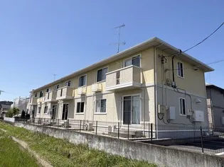 メイプルCの画像