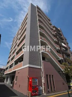 コーラル ブルーの画像