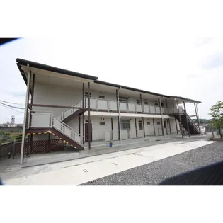 ハイツアーサーの画像