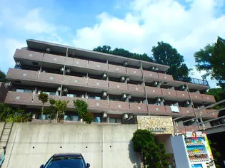 スターダスト晴貞の画像