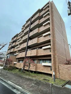 セリゼ雪が谷の画像