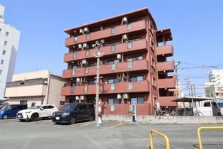 ショコラの画像