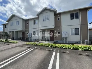 ディアス花の画像