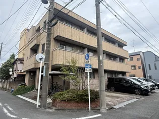エヴァーグリーンの画像