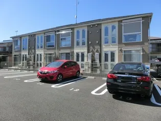 アムールの画像