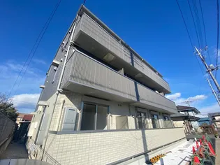 カメリアの画像