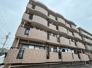 フェアリーライトの画像