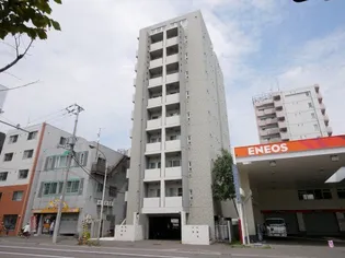 コリーナフォレスタの画像