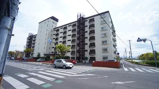 ゾンネンハイムの画像