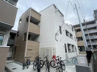 ステラ連坊の画像