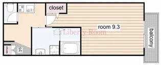 エヌエムサンカンテキャトフC棟【3階】の間取り