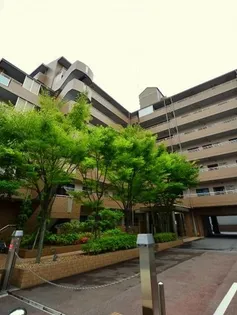 ハーヴィス・カエロン【4階】の外観