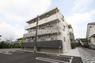 グレイスルピナスの画像