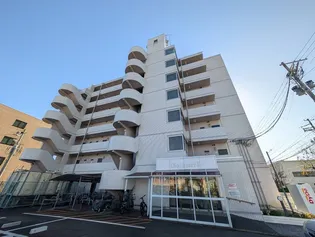 ディオホリⅠの画像