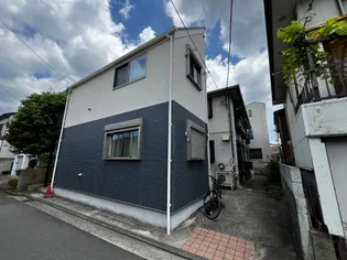 アムールの画像