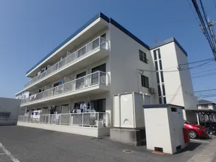 サニーコスモの画像