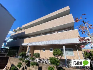 ソムニウムの画像